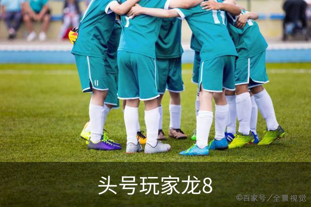 关于头号玩家龙8